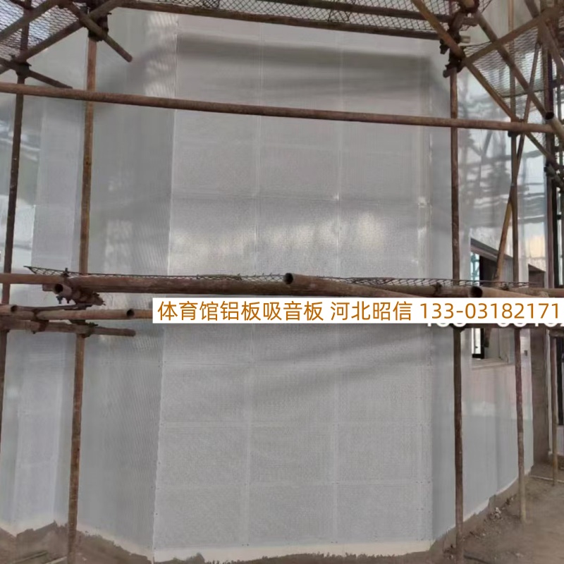 昭信铝板吸音板体育馆声学改造项目解决场馆回声难题